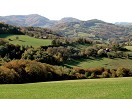 herbstl. Wiesenlandschaft mit Gföhlberg 