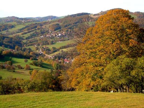 Heckenlandschaft mit Brand-Laaben 