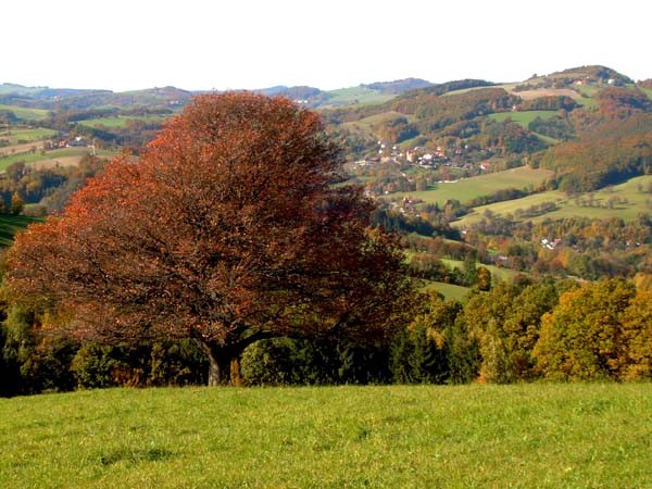 Landschaft bei Brand-Laaben 