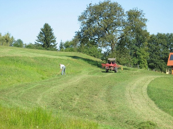 Rechen&Traktor, Foto: Diry